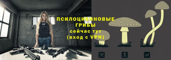 героин Бородино