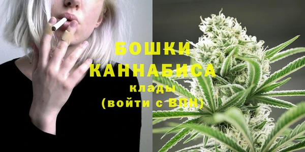 ПСИЛОЦИБИНОВЫЕ ГРИБЫ Бронницы